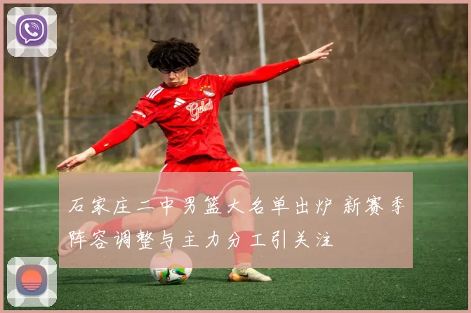 石家庄二中男篮大名单出炉 新赛季阵容调整与主力分工引关注