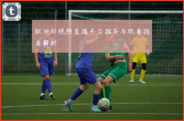 欧洲杯视频直播平台推荐与观看指南解析
