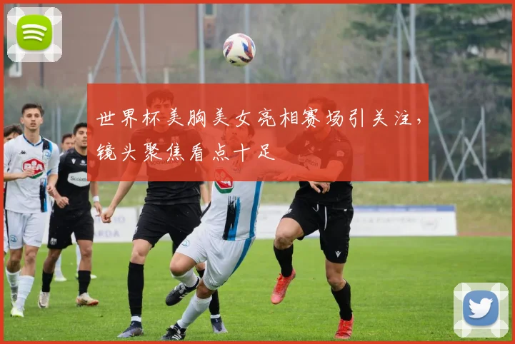 世界杯美胸美女亮相赛场引关注,镜头聚焦看点十足